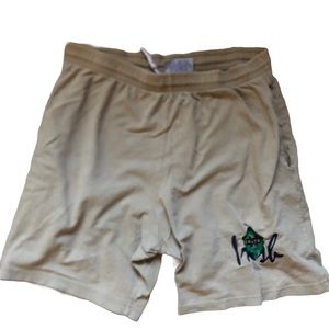 vintage notre dame fighting irish shorts!